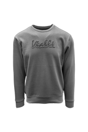 College Sweatshirt*