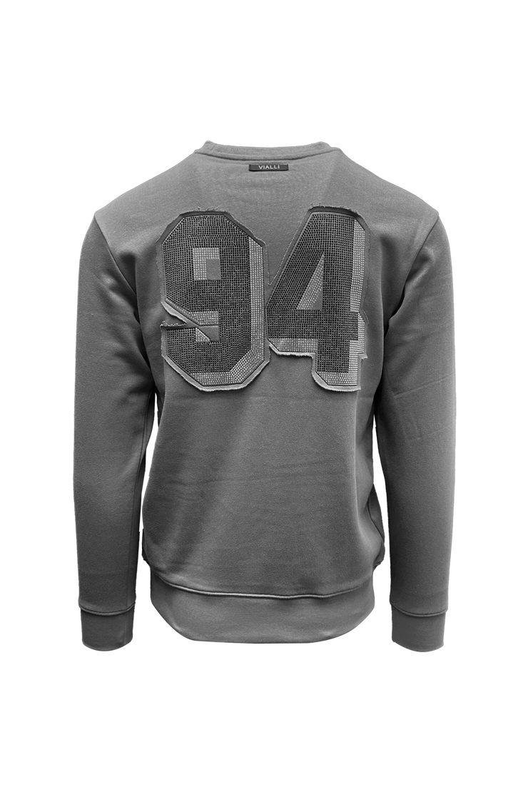 College Sweatshirt*