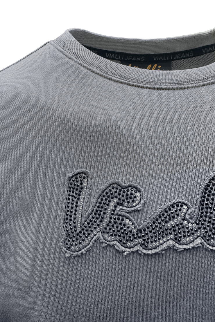 College Sweatshirt*