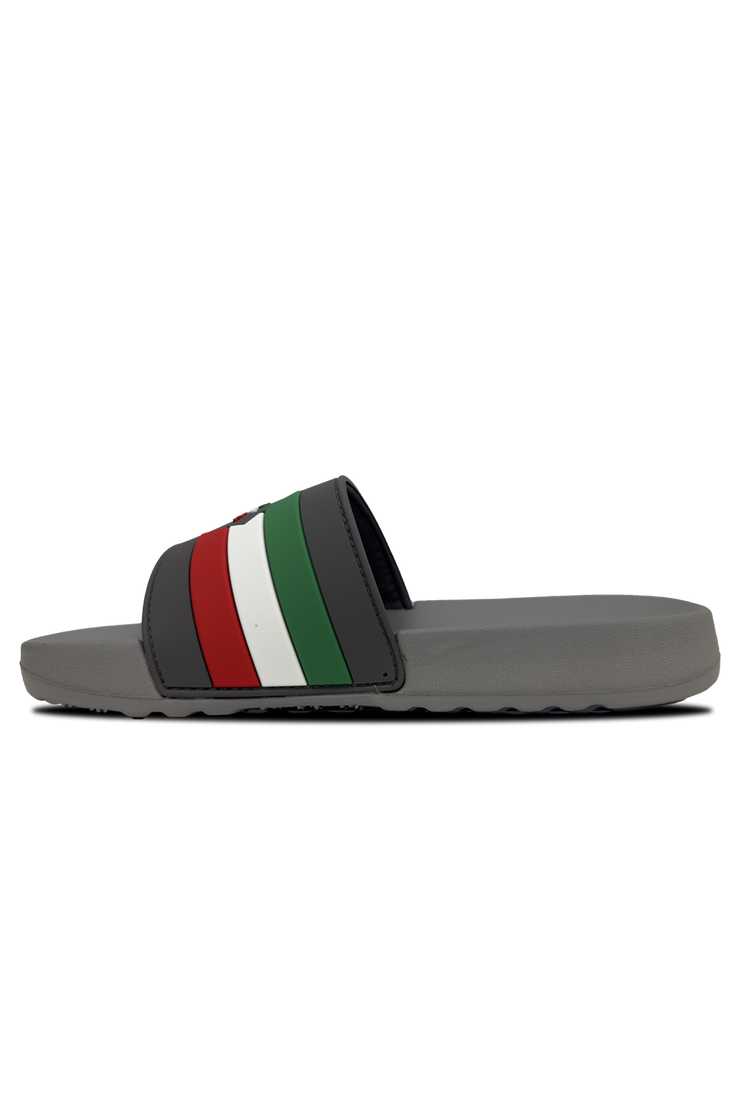 Burdissia Slide*